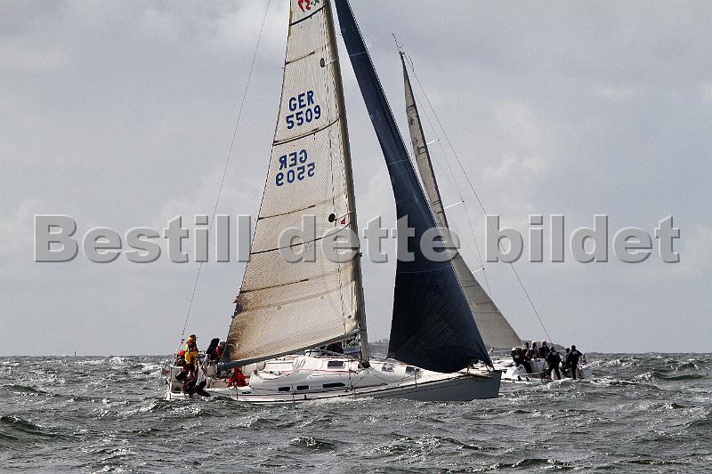 ORCi 002.jpg